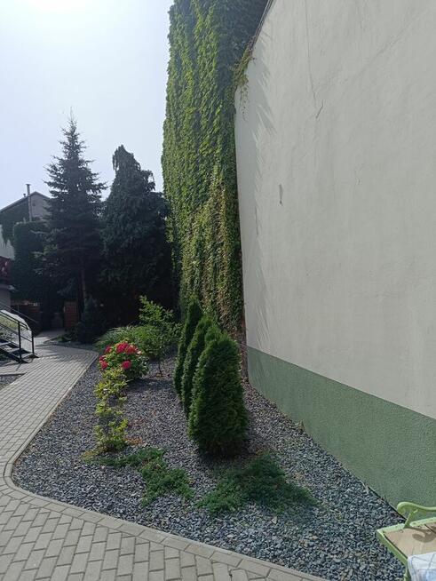 Mieszkanie H.Sienkiewicza 33m2