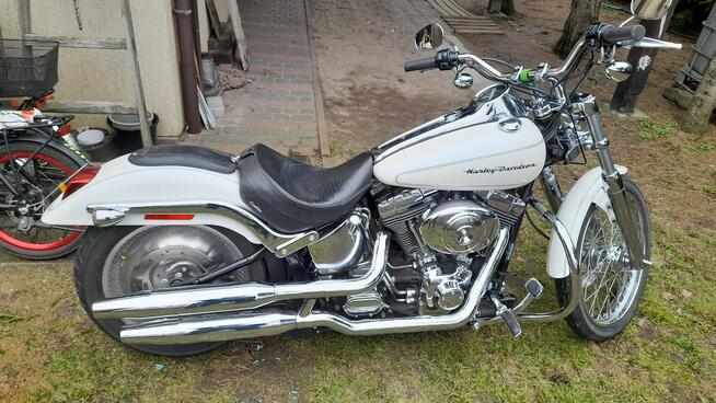 HARLEY SOFTAIL 2005 Pilne !!