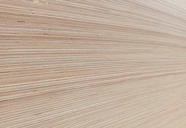 Sklejka WD sosna 4mm kl. 1/2; 2500x1250