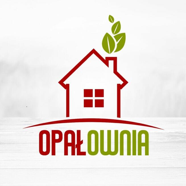 Brykiet z węgla drzewnego Premium na grilla.