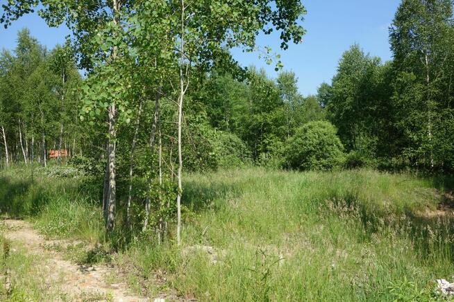 Działki k/Grodziska Maz.- szybki dojazd do W-wy A2 i S8