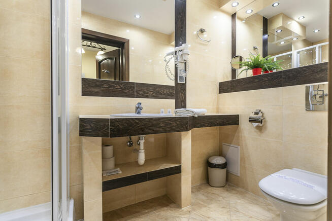 Ap. Hruby Regiel, widok, kominek, wiosna Zakopane