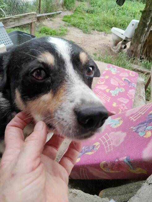 Cudowny Aniołek nie miał łatwego życia odmień jego los