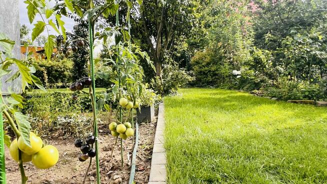 Domek 2-piętrowy 100m/2