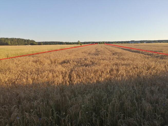 PIĘKNE MIEJSCE WYDZIERŻAWIE 13 KM OD WARSZAWY