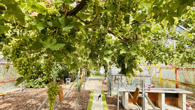 Domek 2-piętrowy 100m/2