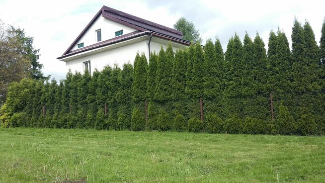 Usługi ogrodnicze i pielęgnacja terenu zielonego.