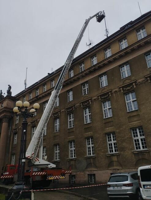 Podnośnik koszowy 40, 42m usługi