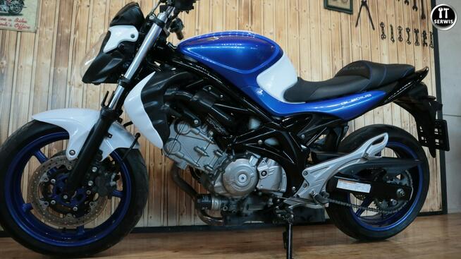 Suzuki SFV Gladius Przepiękny CZYSTY I ZADBANY suzuki gladius 650 SFV RATY  kup online