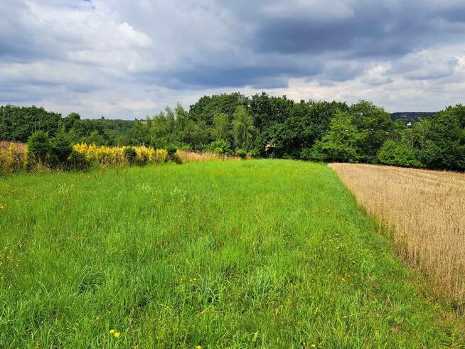 Działka rolna Świńczów gm. Skała