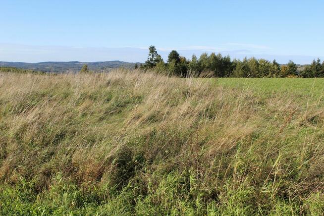 Działka budowlana przy drodze z widokiem na Bieszczady