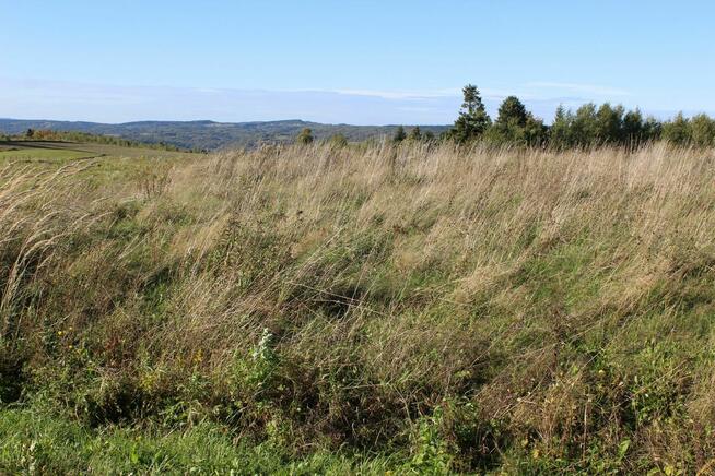 Działka budowlana przy drodze z widokiem na Bieszczady