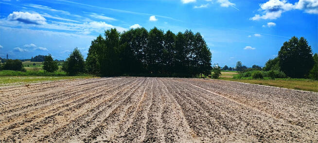 Sprzedam działki do wydzielenia 20 ar
