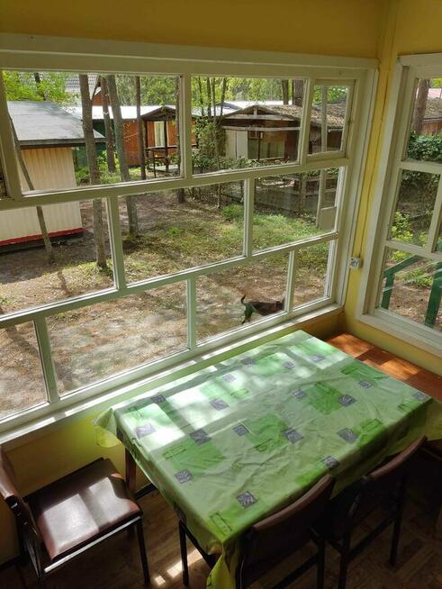 Domek Domki na wynajem w Stegnie - Stegna