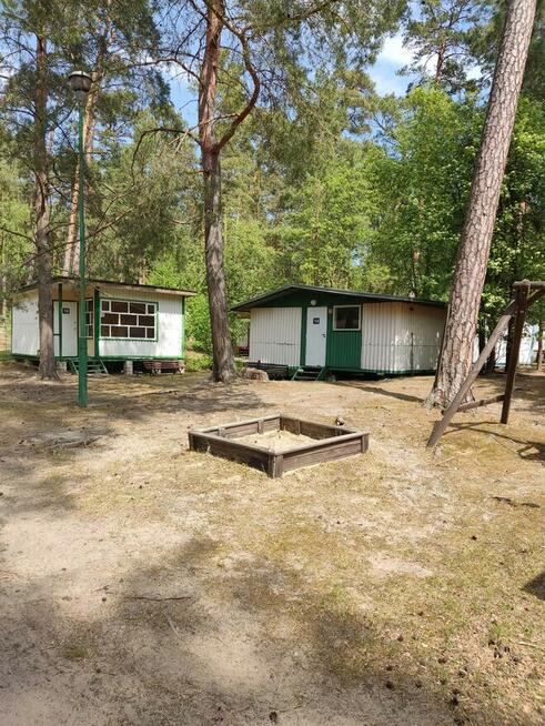 Domek Domki na wynajem w Stegnie - Stegna