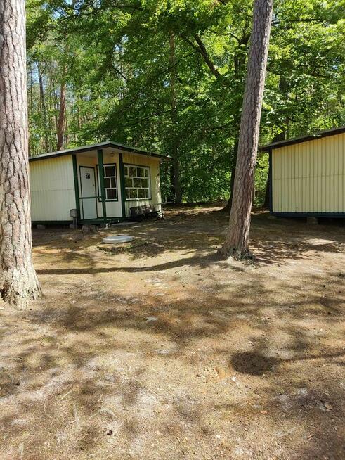 Domek Domki na wynajem w Stegnie - Stegna