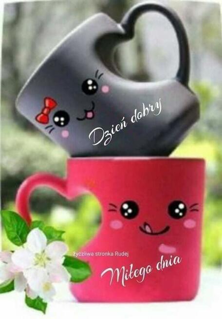 Poznam dojrzałą kobietę. Mam 49 lat.