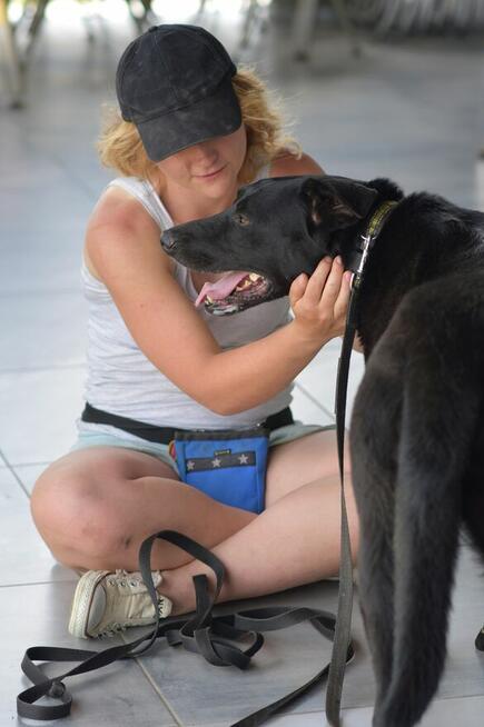 Vito - duży psiak potrzebujący spokoju