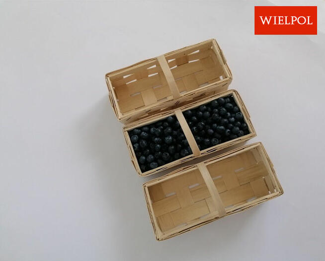 Opakowania do borówek / Łubianki 0.5 kg