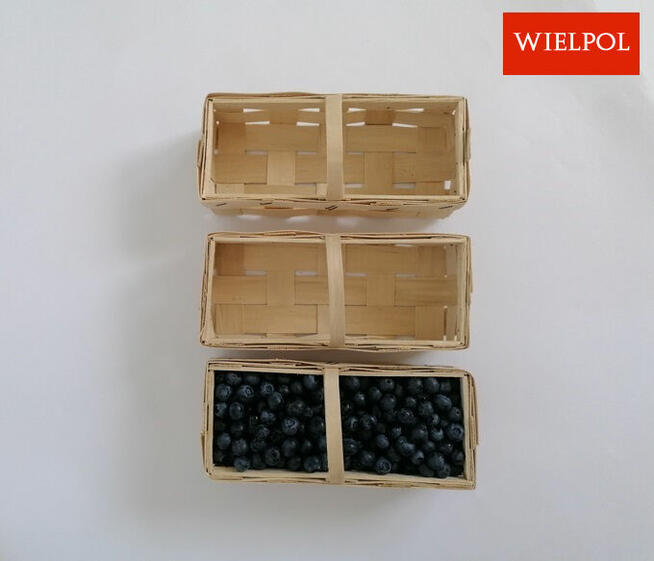 Opakowania do borówek / Łubianki 0.5 kg