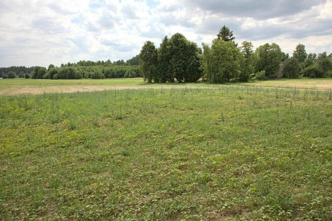Duża nieruchomość gruntowa niezabudowana w Pogorzałkach.