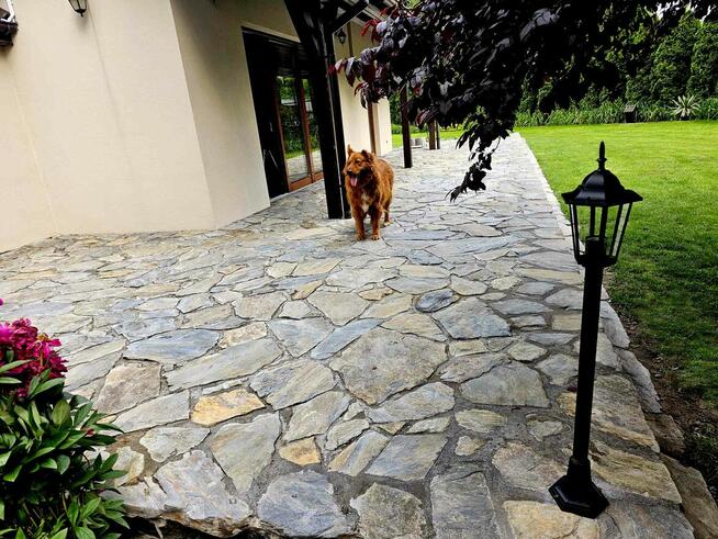 Kamień Łupek Szarogłazowy | Kamień ścieżkowy