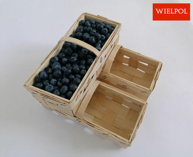 Opakowania do borówek / Łubianki 0.5 kg