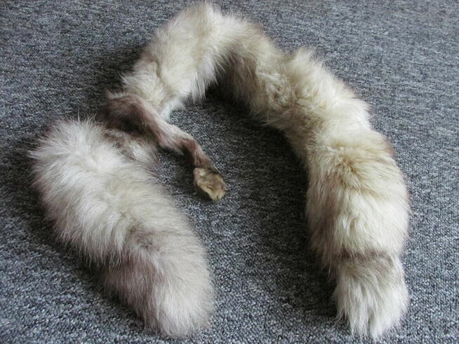 Futerkowy kołnierz lisa PRL