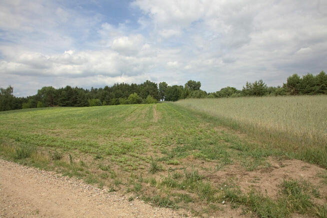Duża działka pod zabudowę w Pogorzałkach