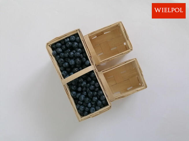 Opakowania do borówek / Łubianki 0.5 kg