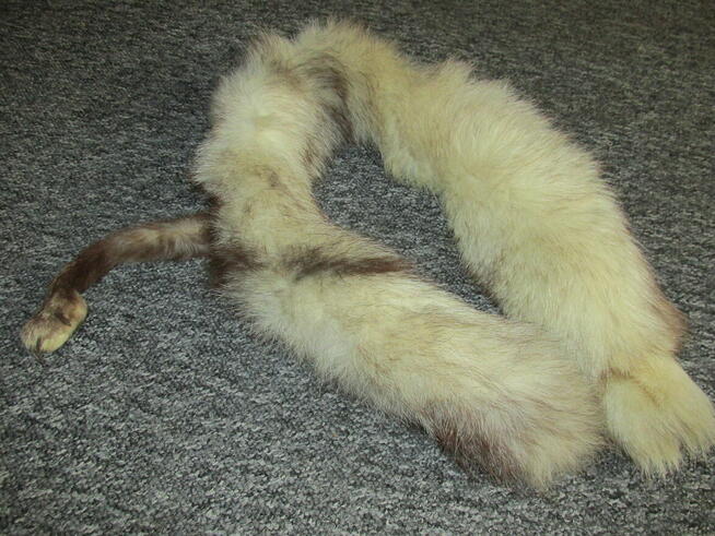 Futerkowy kołnierz lisa PRL