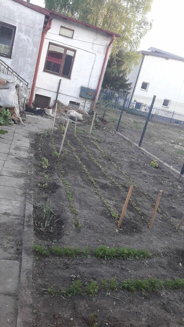 Sprzedam dom w Pułtusku