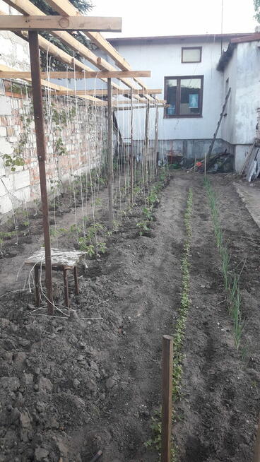 Sprzedam dom w Pułtusku