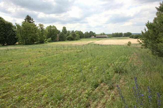 Działka z możliwością zabudowy zagrodowej w Pogorzałkach.