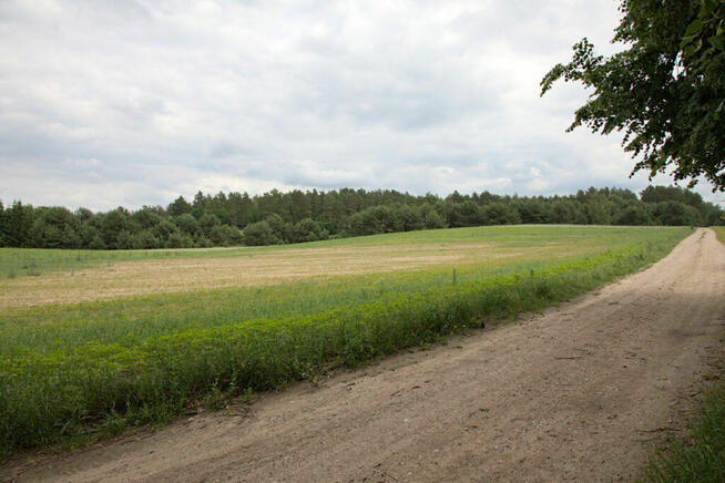 Duża działka pod zabudowę w Pogorzałkach