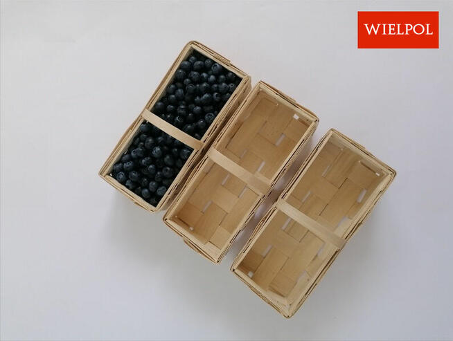 Opakowania do borówek / Łubianki 0.5 kg