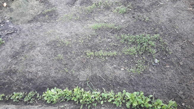 Sprzedam dom w Pułtusku