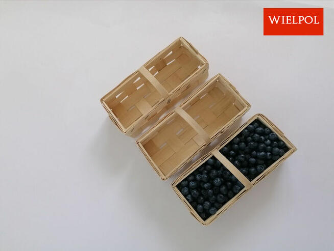 Opakowania do borówek / Łubianki 0.5 kg