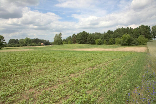 Działka z możliwością zabudowy zagrodowej w Pogorzałkach.