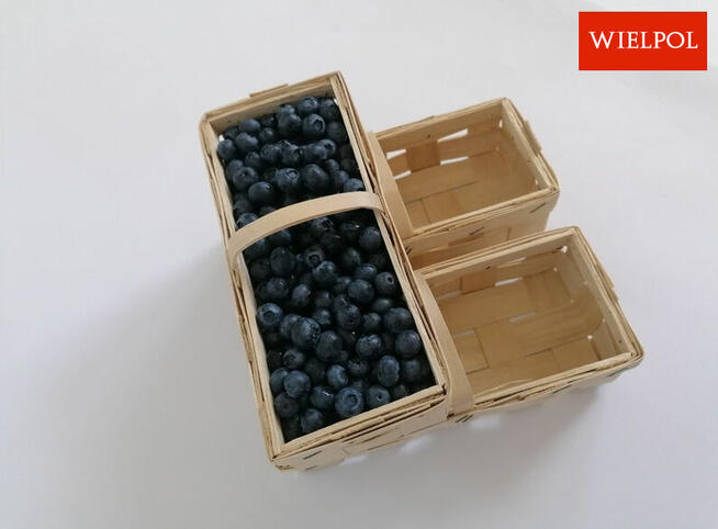 Opakowania do borówek / Łubianki 0.5 kg