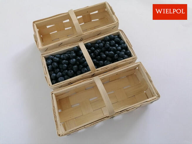 Opakowania do borówek / Łubianki 0.5 kg