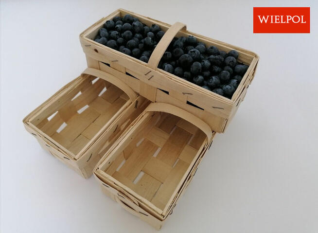 Opakowania do borówek / Łubianki 0.5 kg