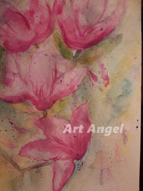 Szukam pracy grafik kreatywny lub social media