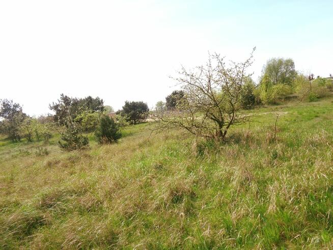 Sompolno – Duża Działka Budowlana