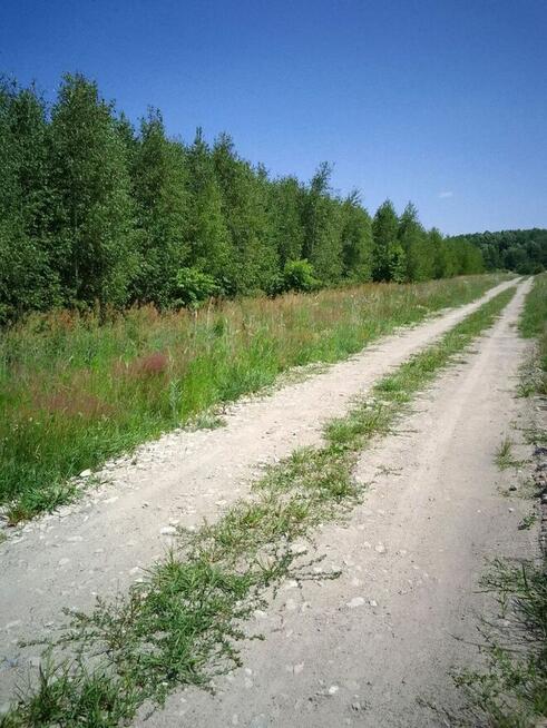 Działka budowlana w Brańszczyku - media