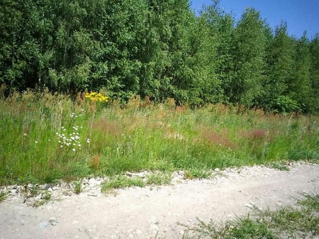 Działka budowlana w Brańszczyku - media