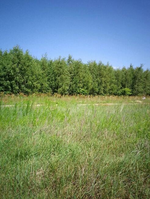 Działka budowlana w Brańszczyku - media