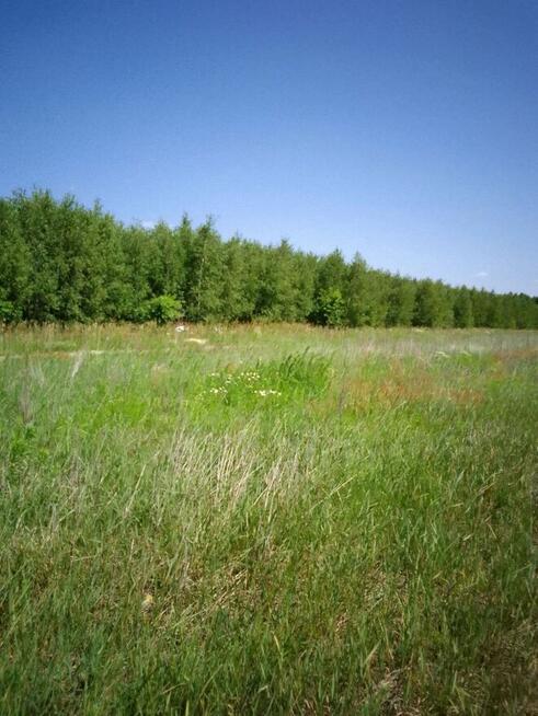 Działka budowlana w Brańszczyku - media