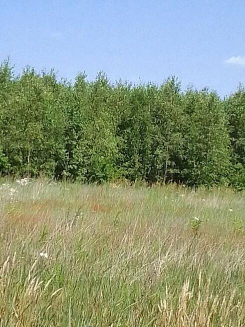 Działka budowlana w Brańszczyku - media