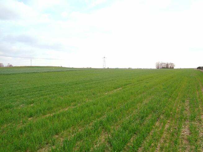 Grunt Rolny - Laskówiec